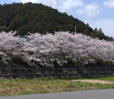 休み明けはバタバタする