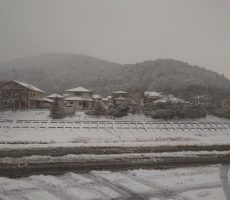 飛ぶは粉雪か舞い立つ霧か