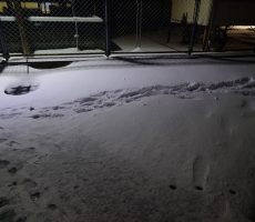 新雪を踏むのは楽しいけれど…