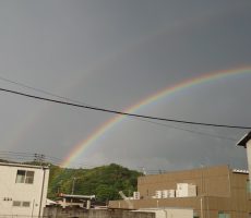 縁起が良いかどうかは置いといて